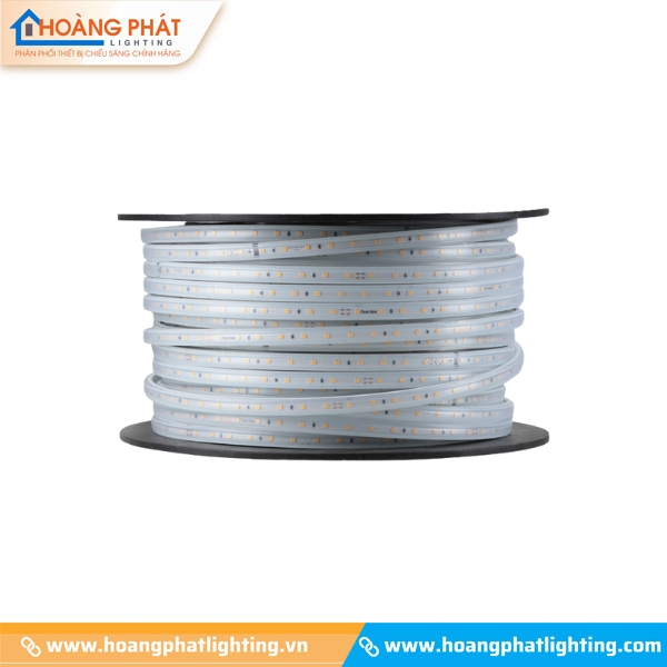 Đèn led dây Rạng Đông