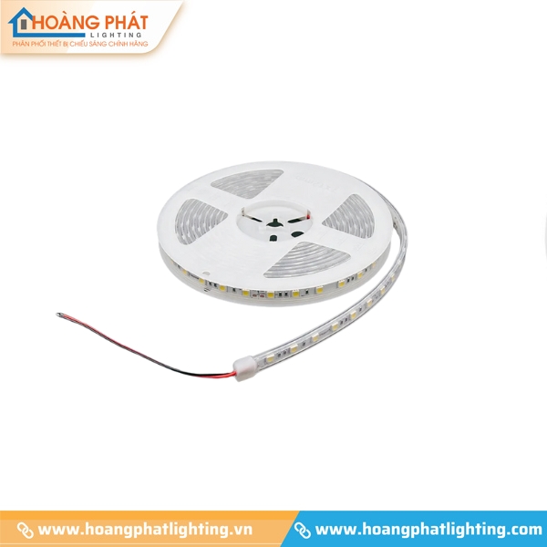 Bảng giá đèn Paragon 2025 mới cập nhật