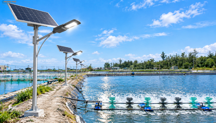 Đèn LED Chiếu Sáng Trại Tôm, Ao Nuôi Thủy Sản: Chống Ăn Mòn, Bền Nước