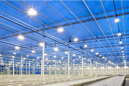 Đèn led nhà xưởng là gì?