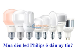 Mua bóng đèn led Philips ở đâu uy tín 