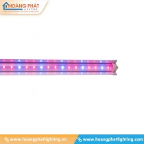 Đèn nuôi tảo LED T25W 120/BR Rạng Đông