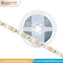 Đèn led dây dán DC 12W LDDC-12-120 5M Kingled