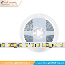 Đèn led dây dán DC 12W LDDC-12-120-24 10M Kingled