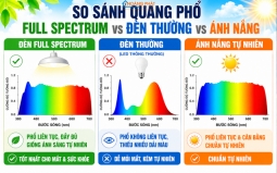 Đèn LED Full Spectrum Cho Cây Cảnh, Bonsai Trong Nhà: Quang Phổ Và Cách Chọn