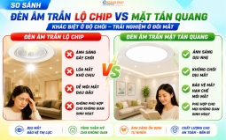 Đèn LED Âm Trần Bị Chói, Lóa Mắt: Nguyên Nhân Góc Chiếu Và Cách Khắc Phục