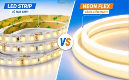 Đèn LED Neon Flex Trang Trí: Cách Chọn Và Thi Công Đẹp, Bền