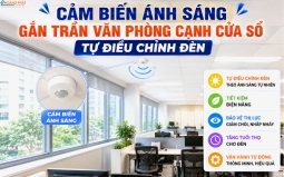 Cảm Biến Ánh Sáng Ban Ngày (Daylight Sensor): Tự Điều Chỉnh Độ Sáng, Tiết Kiệm Điện