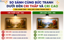 Đèn LED Chiếu Tranh, Chiếu Điểm Trang Trí: Cách Chọn CRI, Góc Chiếu Chuẩn