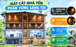 Đèn LED Chiếu Sáng Nhà Yến: Nguyên Tắc Ánh Sáng, Chọn Đèn Chống Ẩm Và Điện An Toàn