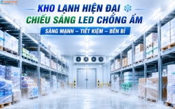 Chiếu Sáng Kho Lạnh Và Nhà Xưởng Thực Phẩm: Chọn Đèn Chịu Được Khắc Nghiệt