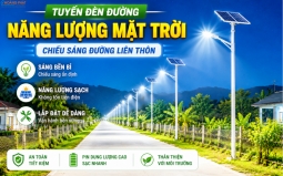 Đèn Đường Năng Lượng Mặt Trời Cho Nông Thôn: Chọn Công Suất Và Pin
