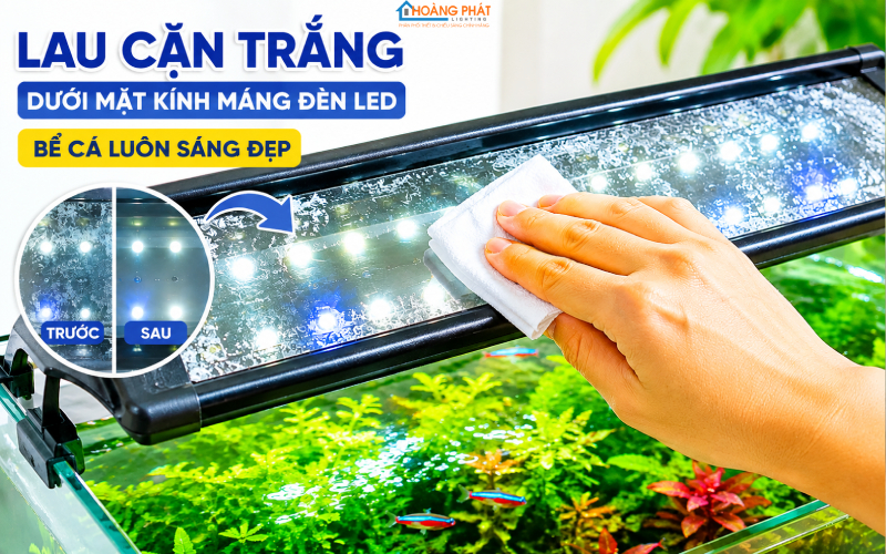Bàn tay lau lớp cặn trắng dưới mặt kính máng đèn LED bể cá