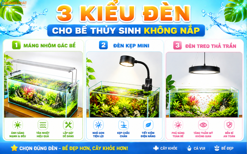 Ba kiểu đèn: máng nhôm gác bể, đèn kẹp mini, đèn treo thả trần trên bể không nắp