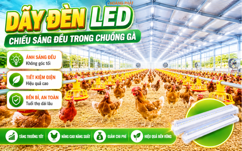 Đèn led chiếu sáng trong chuồng gà