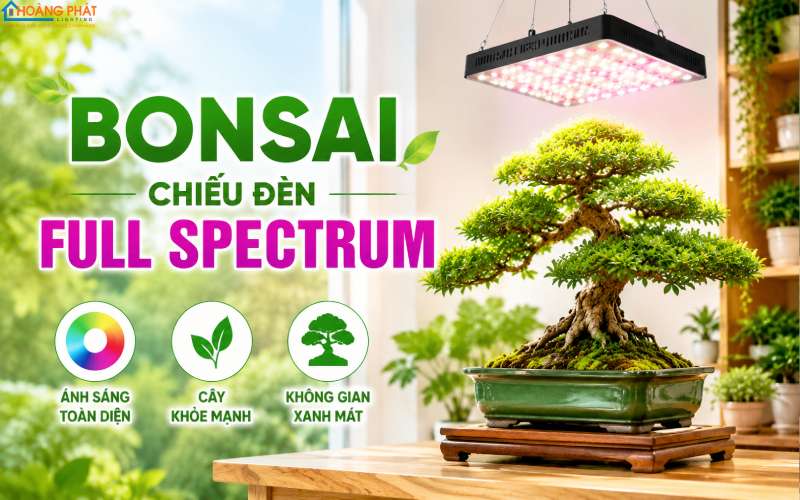 Không gian sống xanh mát với bonsai được chiếu đèn full spectrum