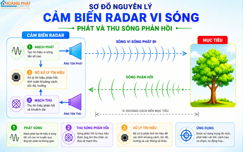 Cảm Biến Radar Vi Sóng Cho Đèn LED: Ưu Điểm So Với Cảm Biến Hồng Ngoại PIR