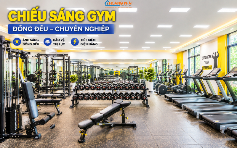 Đèn LED Chiếu Sáng Phòng Gym & Phòng Tập: Chọn Độ Rọi, Chống Chói